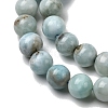 Natural Larimar Beads Strands G-B156-A01-6mm-4