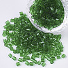 6/0 Two Cut Glass Seed Beads SEED-S033-11B-04-1