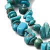 Natural HuBei Turquoise Bead Strands G-H345-A01-06-4