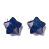 Natural Lapis Lazuli Charms G-H241-04A-2