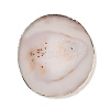 Natural Agate Coaster AJEW-NH0001-04G-04-1