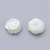 Natural Sea Shell Beads SSHEL-Q297-76-2