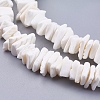 Natural Sea Shell Beads Strands X-BSHE-K012-08E-3