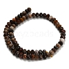 Natural Petrified Wood Beads Strands G-Z111-A50-5