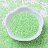 MIYUKI Delica Beads SEED-MY11-DB0237-2