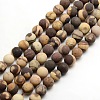 Frosted Natural Zebra Jasper Round Bead Strands G-M064-4mm-03-1