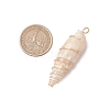 Copper Wire Wrapped Natural Spiral Shell Big Pendants PALLOY-JF03397-02-3