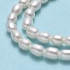 Natural Cultured Freshwater Pearl Beads Strands PEAR-J006-07F-4