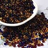 Transparent Colours Glass Seed Beads X1-SEED-P006-02A-10-1