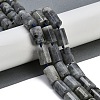 Natural Labradorite Beads Strands G-G162-D13-02-2