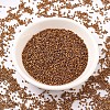 MIYUKI Delica Beads SEED-MY11-DB0505-2