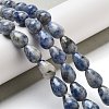 Natural Blue Spot Jasper Beads Strands G-B106-A15-02-2