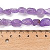 Natural Amethyst(Dyed & Heated) Beads Strands G-P497-01E-22-5