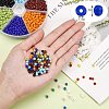 180g 12 Colors Ornaland Glass Seed Beads SEED-SZ0001-010-2