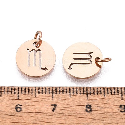 304 Stainless Steel Charms STAS-Q201-T445-8R-1