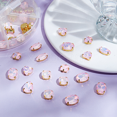 106pcs 6 Style Sew On Rhinestone FIND-OC0004-09C-1
