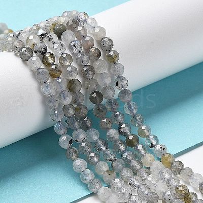 Natural Labradorite Beads Strands G-I341-11-1