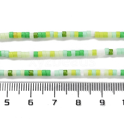 Handmade Lampwork Beads Strands LAMP-L078-008-1