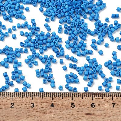 Baking Paint Glass Seed Beads X-SEED-S042-05B-76-1