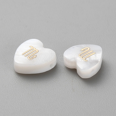 5Pcs Natural White Shell Beads BSHE-TAC0004-02J-1
