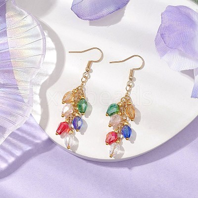 Glass Beaded Dangle Earrings EJEW-JE05976-1