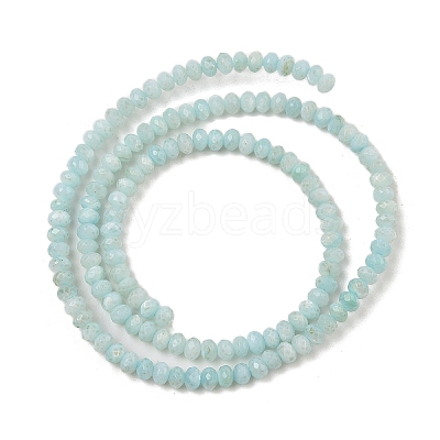 Natural Freshwater Shell Dyed Beads Strands SHEL-R100-13A-02-1