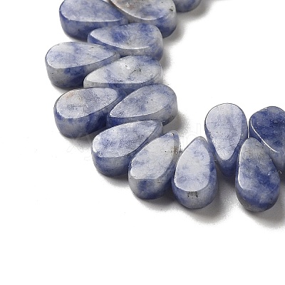Natural Blue Spot Jasper Beads Strands G-B064-B59-1