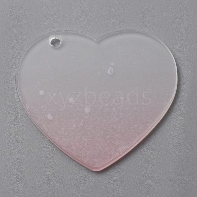 Gradient Transparent Acrylic Disc Big Pendants LS-FIND-WH0032-54B-1