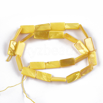 Spray Painted Freshwater Shell Beads SHEL-T010-04B-1
