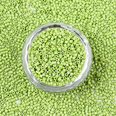 FGB 11/0 Grade A Glass Seed Beads X-SEED-S030-1013-1