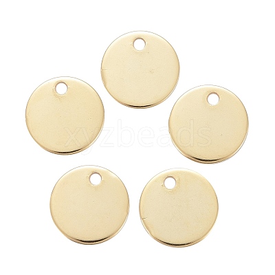 304 Stainless Steel Charms STAS-F174-06G-1