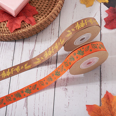 2 Rolls 2 Styles Thanksgiving Day Themes Polyester Ribbon OCOR-TA0003-29B-1