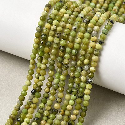 Natural Serpentine Beads Strands G-P603-C-3mm-06-1