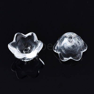 Transparent Glass Beads GLAA-Q089-002C-001-1