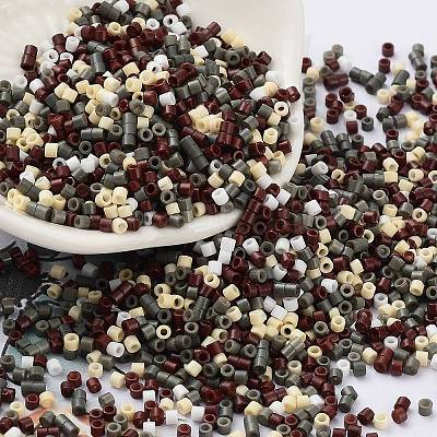 Baking Paint Glass Seed Beads SEED-S042-05B-55-1