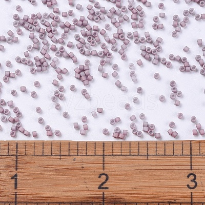 MIYUKI Delica Beads Small SEED-X0054-DBS0379-1