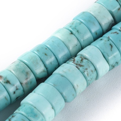 Natural Magnesite Beads Strands TURQ-L030-04B-01-1