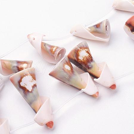 Natural Freshwater Shell Beads Strands BSHE-L036-21-1