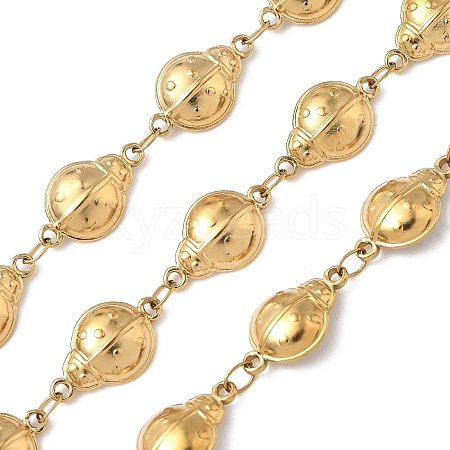 304 Stainless Steel Insects Link Chains CHS-U004-01B-G-1