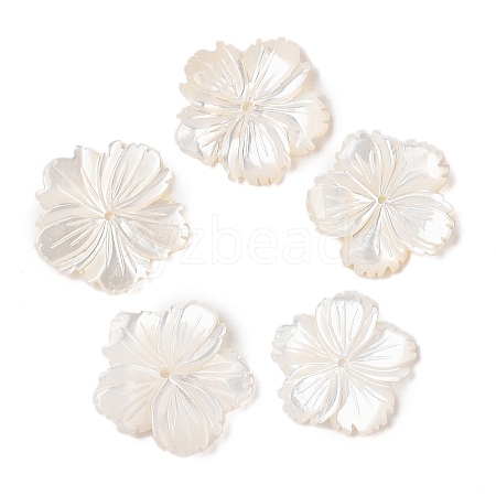 Natural White Shell Beads SSHEL-C012-23B-1