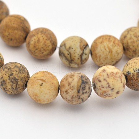 Natural Picture Jasper Beads Strands X-G-D659-6mm-1
