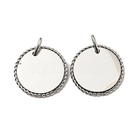 Non-Tarnish 304 Stainless Steel Pendants LS-STAS-L022-183P-1