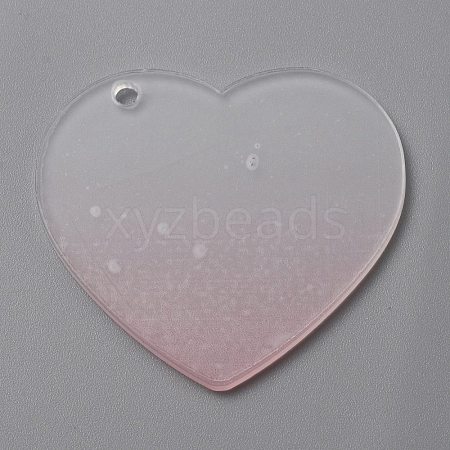Gradient Transparent Acrylic Disc Big Pendants LS-FIND-WH0032-54B-1