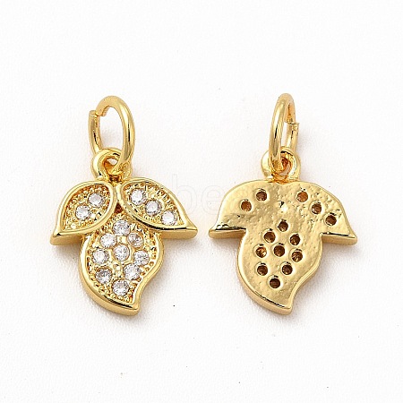 Rack Plating Brass Micro Pave Cubic Zirconia Charms ZIRC-M120-10G-1