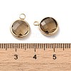 Golden Tone Brass Glass Flat Round Charms GLAA-M003-B-07G-3