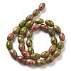 Natural Unakite Beads Strands G-B106-B26-01-3