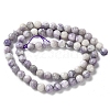 Natural Purple Turquoise Beads Strands G-L595-C04-01-3