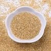 MIYUKI Delica Beads X-SEED-J020-DB0099-2