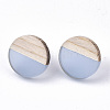 Transparent Resin & Wood Stud Earrings EJEW-N017-003A-D01-2