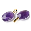 Natural Amethyst Pendants G-E603-03G-02-3